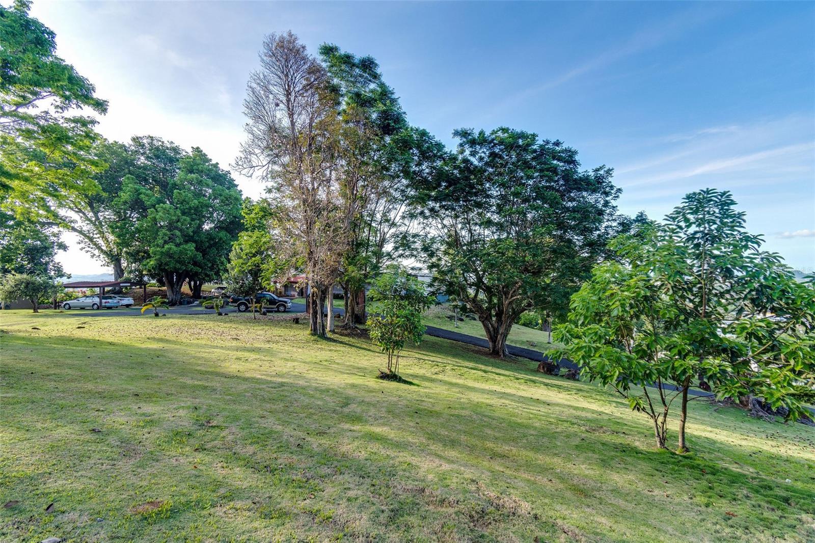 VILLAS DEL OLIMPO - Residential