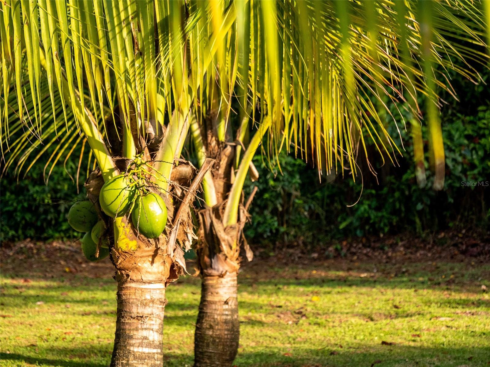 VILLAS DEL OLIMPO - Residential