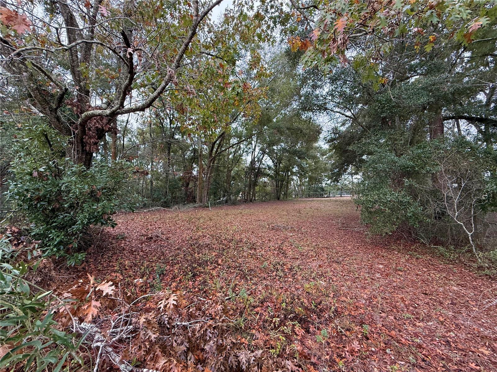 24-11-14 0005.00 ACRES W1/2 OF SE1/4 OF NW1/4 OF N - Residential