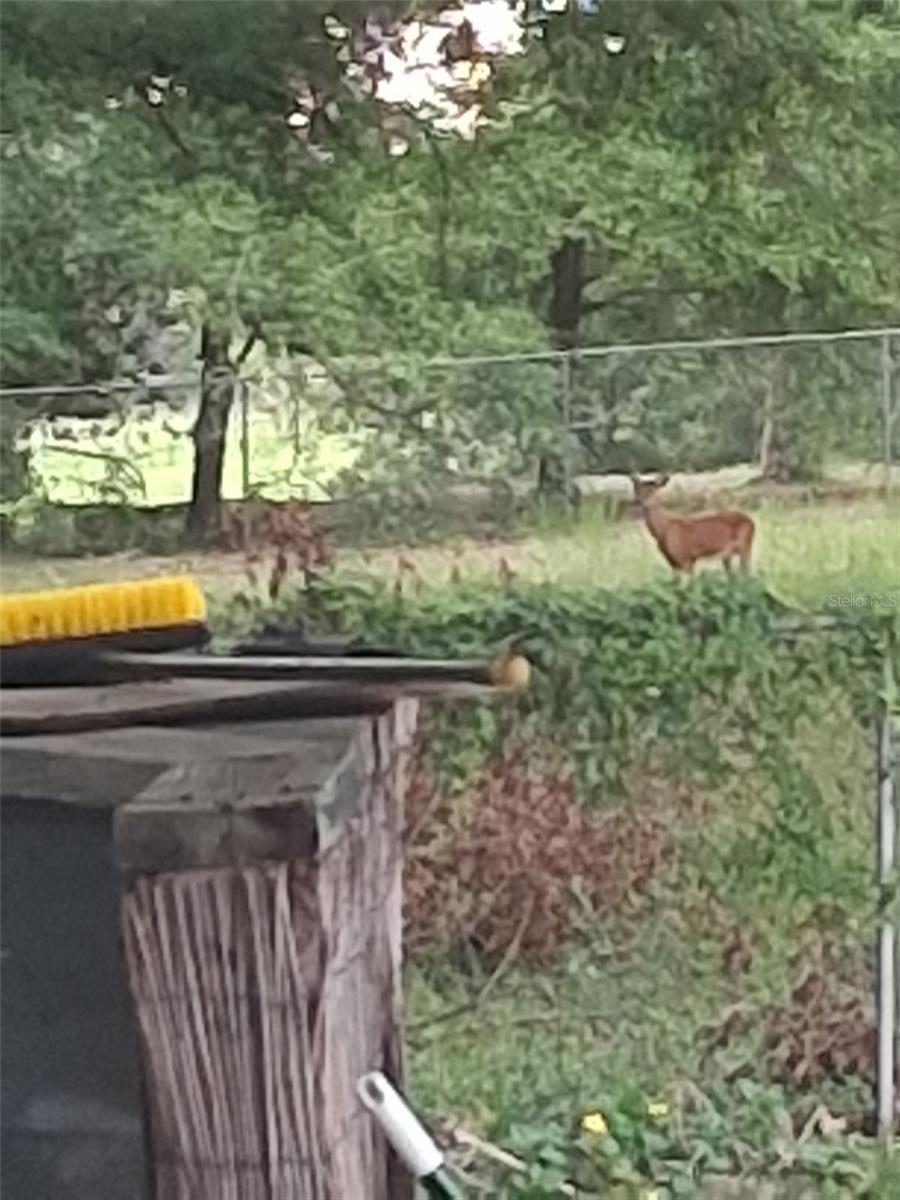 24-11-14 0005.00 ACRES W1/2 OF SE1/4 OF NW1/4 OF N - Residential