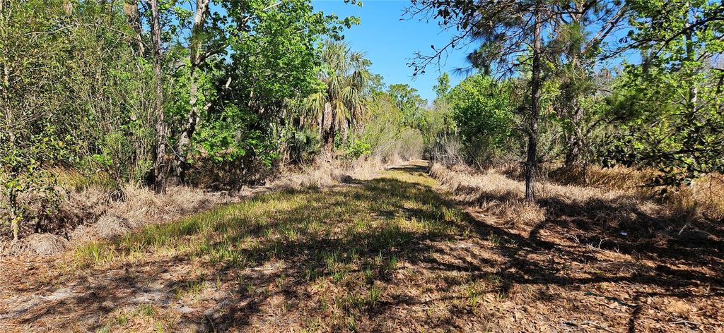 Photo of 6336 Timberlane Road, Lake Wales, FL 33898 (MLS # L4959888)