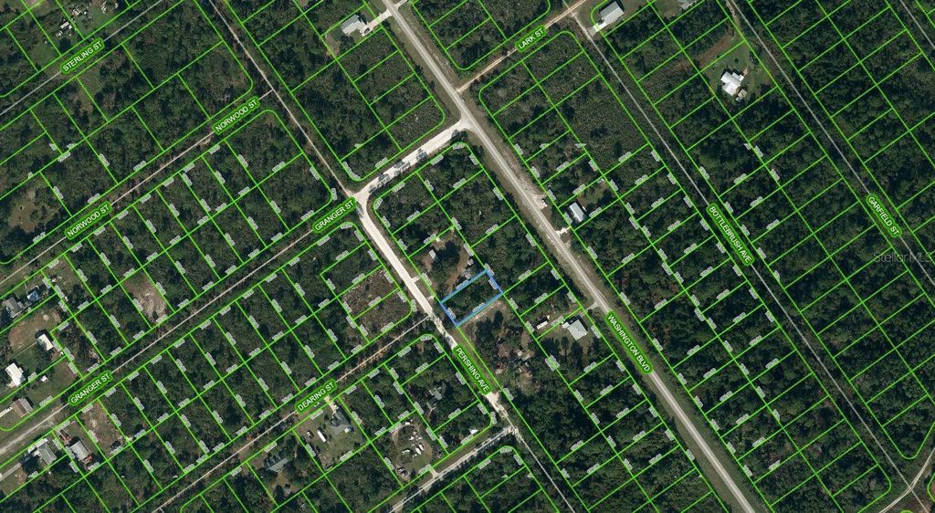 Photo of 557 Pershing Avenue, Lake Placid, FL 33852 (MLS # OM625510)