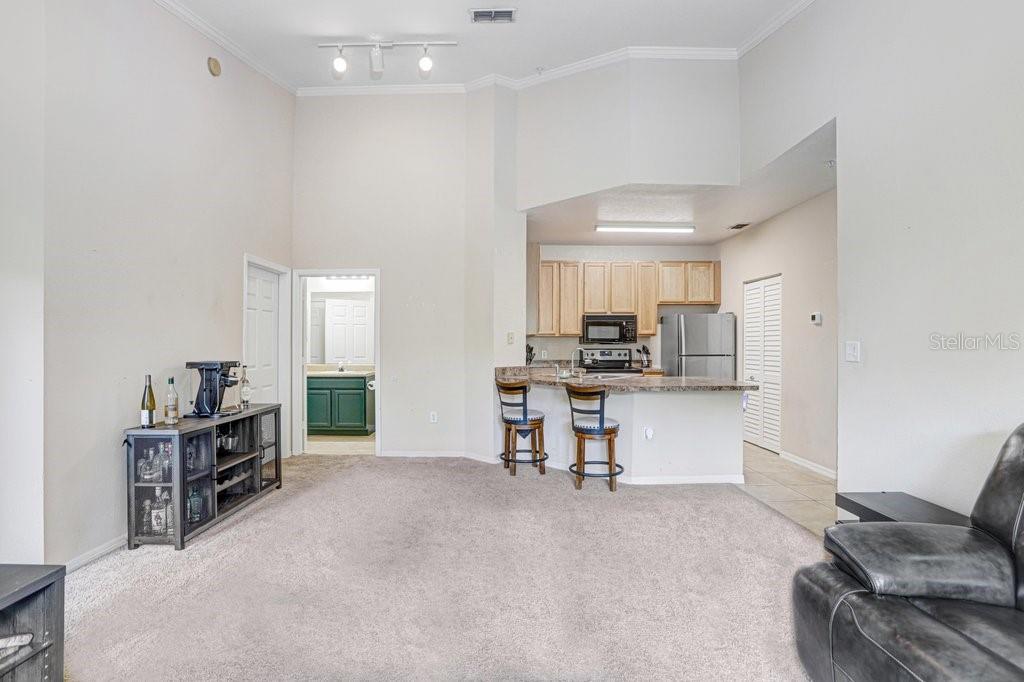 COURTNEY PALMS CONDO - Residential