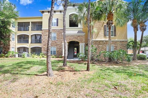 2407 COURTNEY MEADOWS COURT 303 TAMPA FL 33619