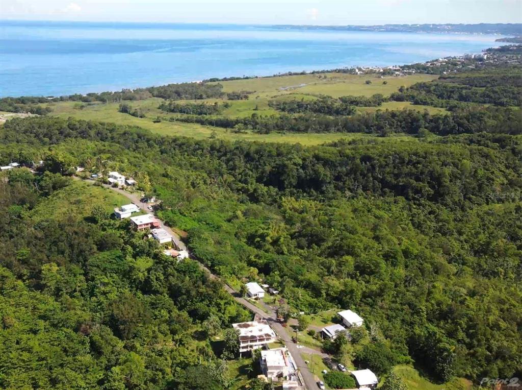 CUCHILLO DE PINA, PUNTAS - Residential