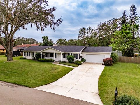 A home in VALRICO