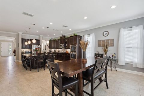 Tiny photo for 4140 Foxhound Drive, Clermont, FL 34711 (MLS # O6407359)