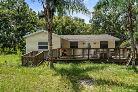 20105 GREEN GRASS LANE LUTZ FL 33558
