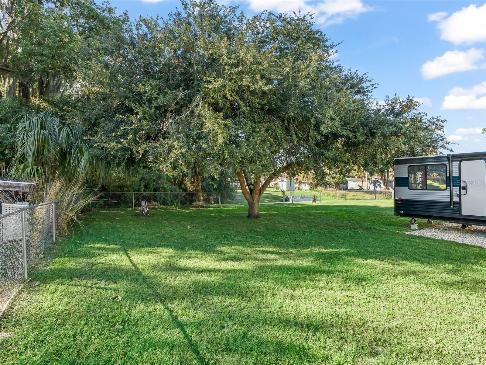 BIRD ISLAND - Residential