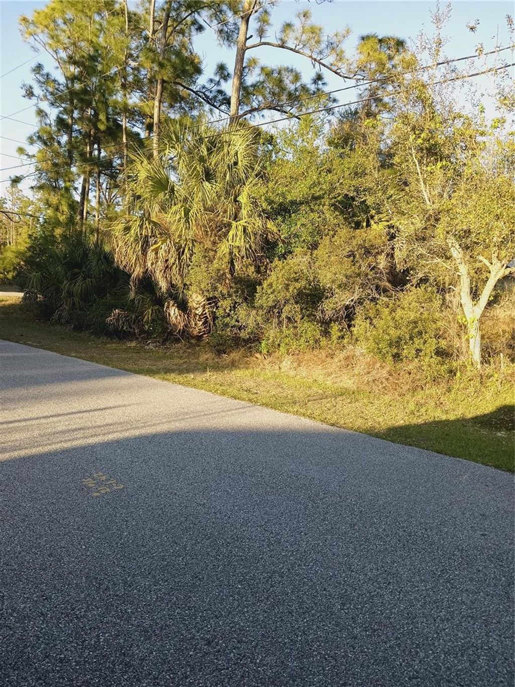 Photo of 1 Tropicaire Boulevard, North Port, FL 34291 (MLS # N6143998)