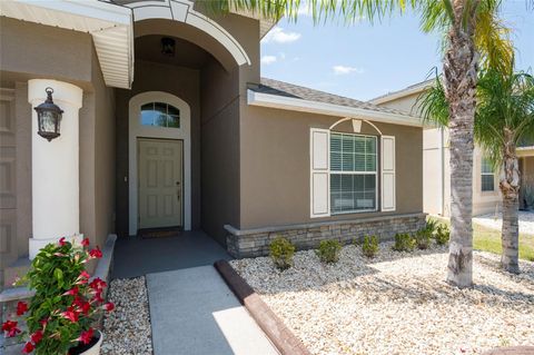 18353 BRIAR OAKS DRIVE HUDSON FL 34667