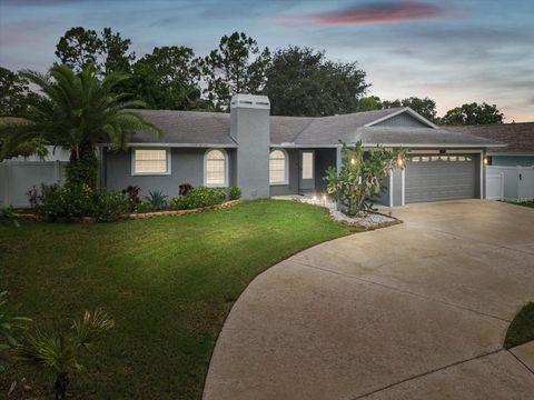 Photo of 2554 Rolling Oaks Drive, Palm Harbor, FL 34683 (MLS # OM708416)
