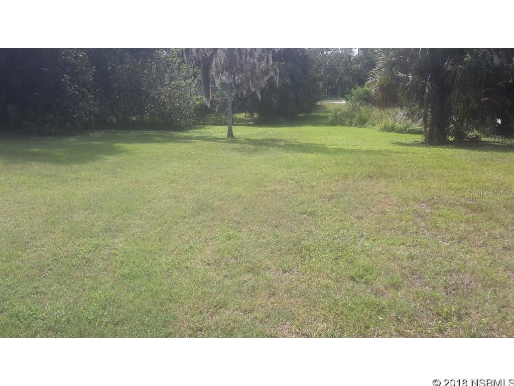 Sheldons New Smyrna - Land