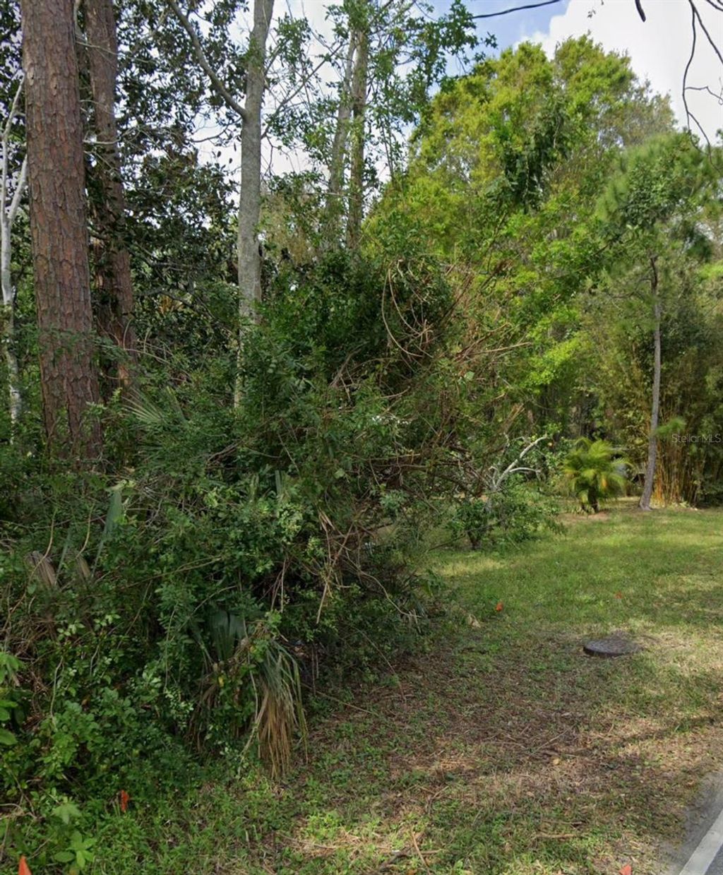 Photo of 960 Mcdonald, Port Orange, FL 32129 (MLS # NS1086495)