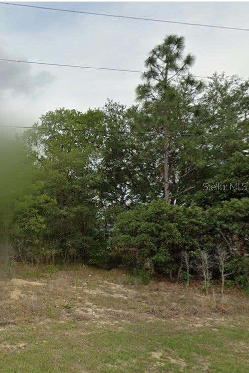 Photo of 2059 W Paragon Lane, Citrus Springs, FL 34434 (MLS # OM730053)