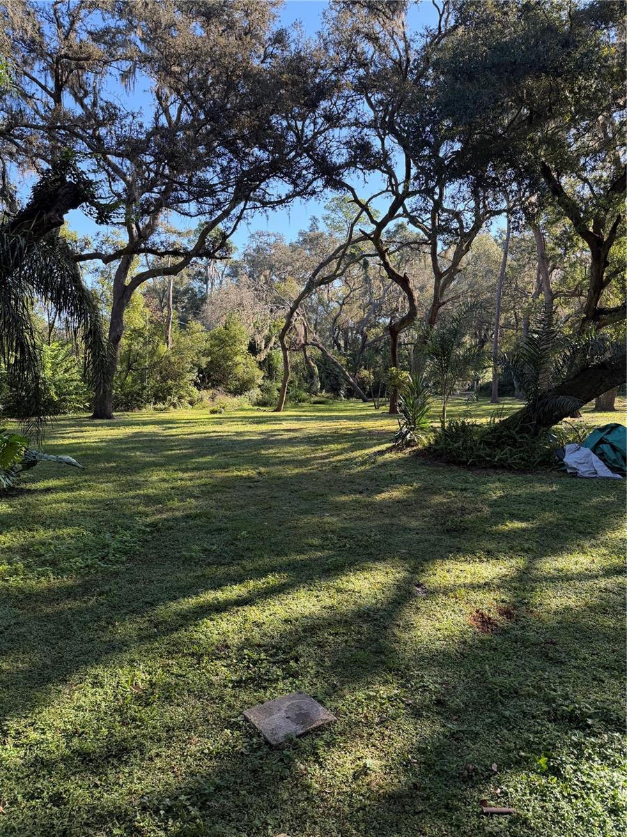 ACREAGE - Residential