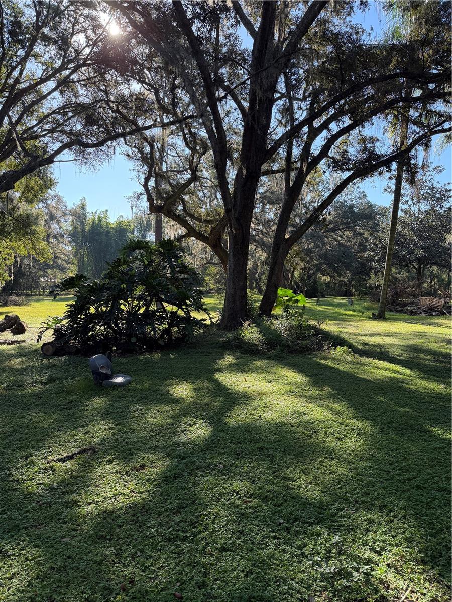 ACREAGE - Residential