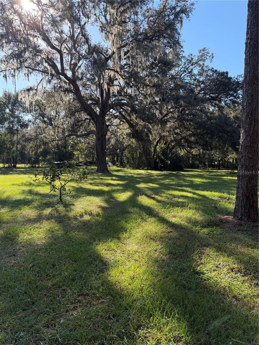 ACREAGE - Residential