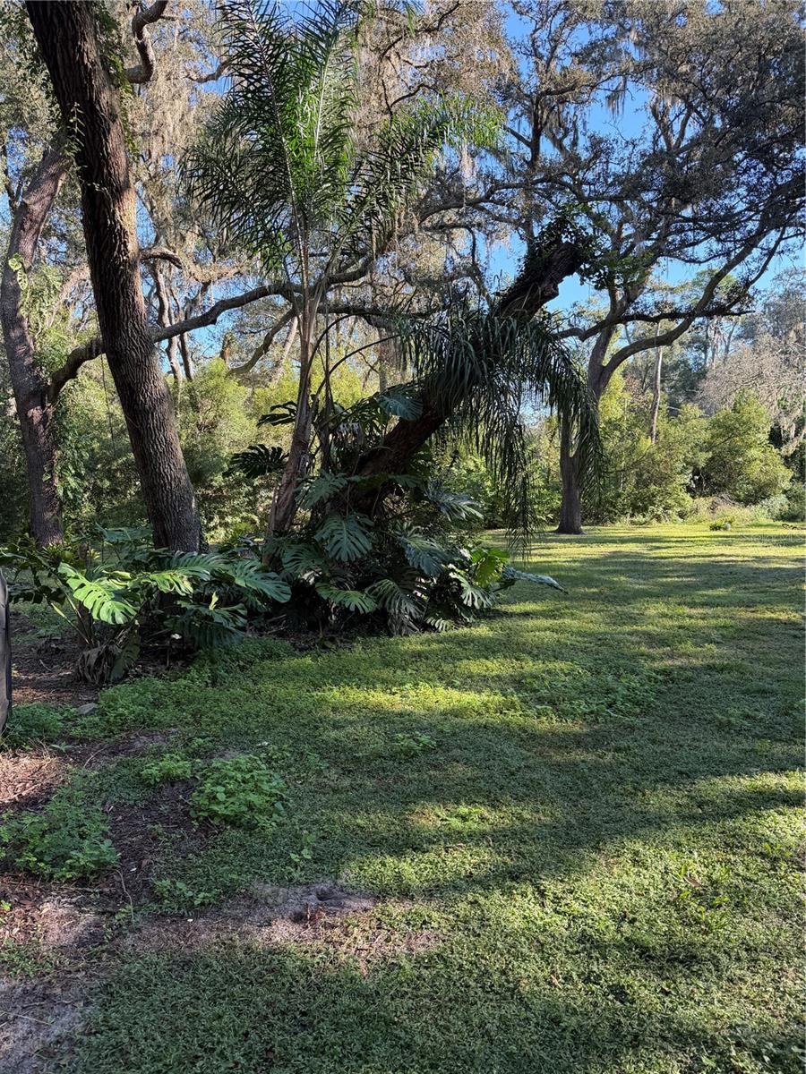 ACREAGE - Residential