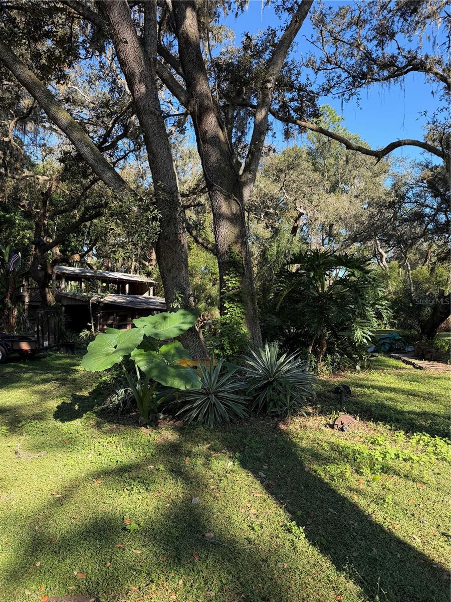 ACREAGE - Residential