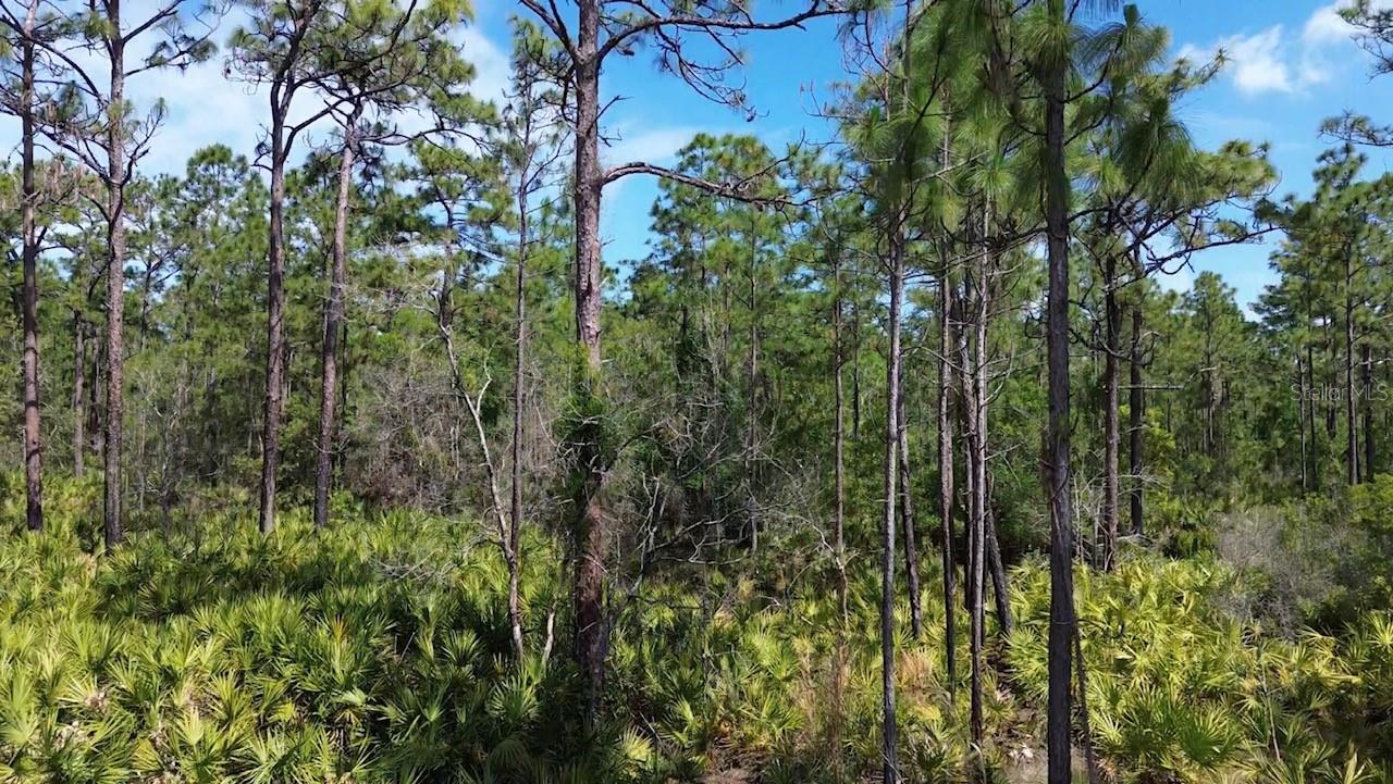 THE MCKOY LAND CO SUB - Land