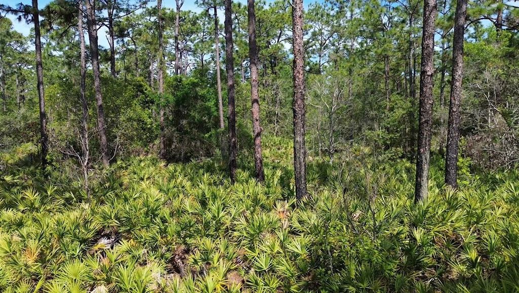 Photo of S Apopka Vineland Road, Orlando, FL 32821 (MLS # O6404068)