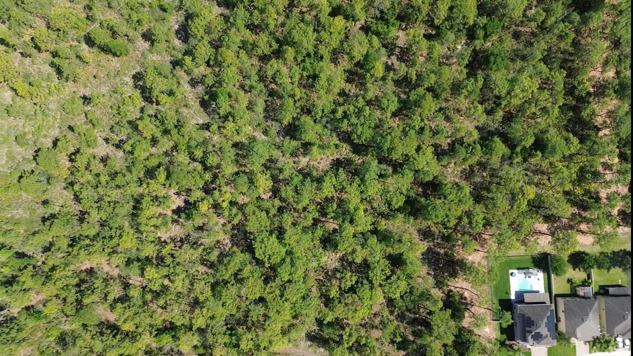 THE MCKOY LAND CO SUB - Land