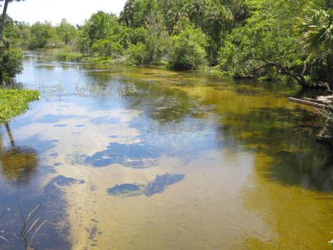 Tiny photo for 5888 SE 164th Avenue, Ocklawaha, FL 32179 (MLS # OM715794)