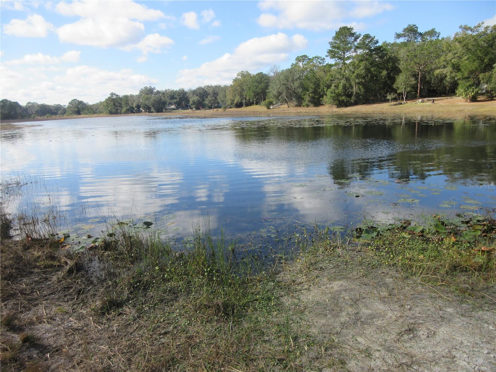 WOODS & LAKES - Residential