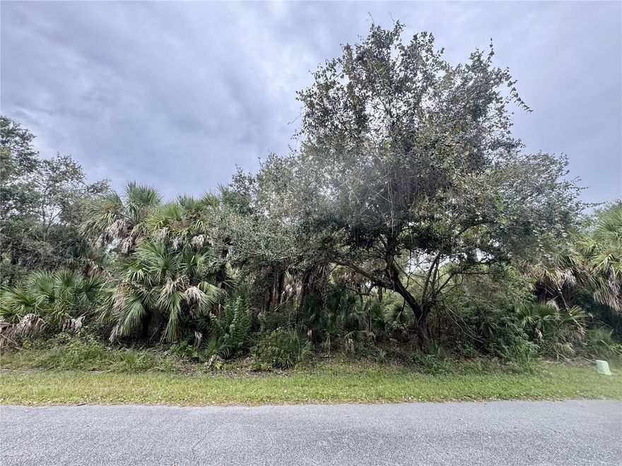 Discover this beautiful North Port lot nestled amid Florida’s natural landscape. Conveniently located near Myakkahatchee Creek Environmental Park, Wellen Park, Boca Grande and the Gulf beaches, with easy access to I-75 and the many shopping centers, restaurants and recreational amenities the surrounding area offers.
Whether you’re seeking a great investment opportunity in a fast-growing community or the perfect place to build your family’s forever home, this lot offers outstanding potential in the heart of natural Florida.
