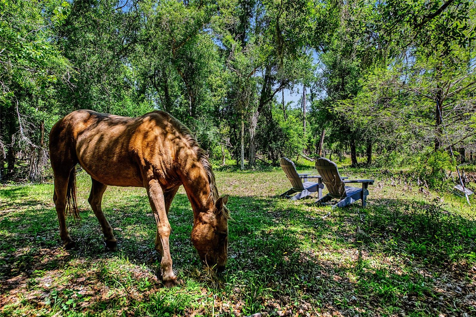 SARASOTA - Residential