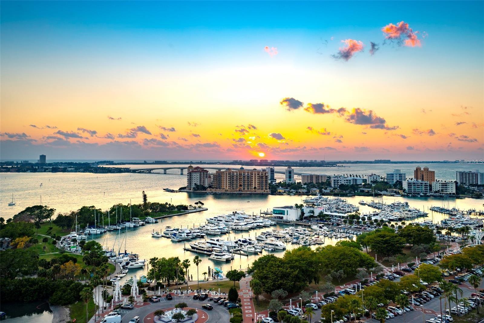 MARK SARASOTA - Residential