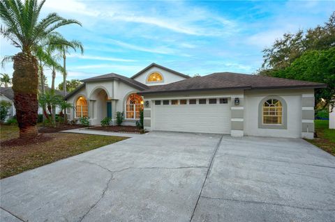 15014 ARBOR HOLLOW DRIVE ODESSA FL 33556