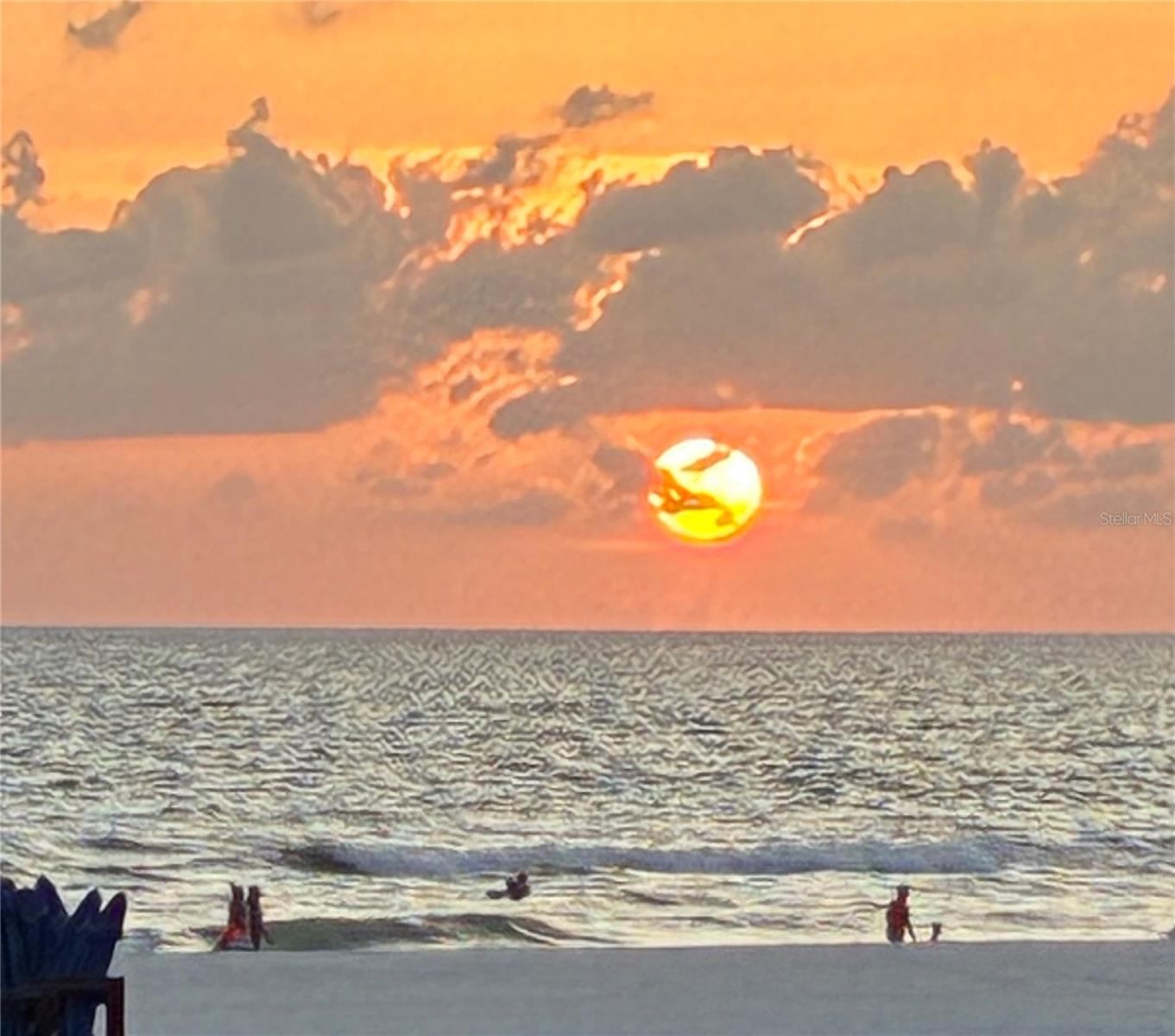 VENICE PALMS PH 1 - Residential