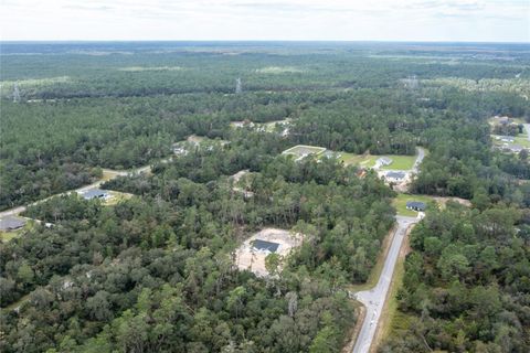 A home in OCALA