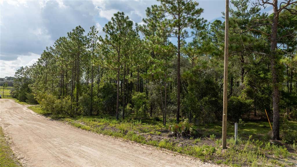 Photo of 00 NE 49th Street, Williston, FL 32696 (MLS # OM730572)