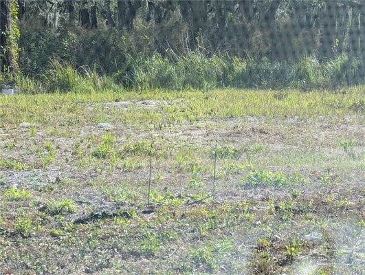 CENTRAL AVE, MULBERRY, FL 33860 - Image c816c1c8f446154fd09983b1fd58d7d7/1200764785