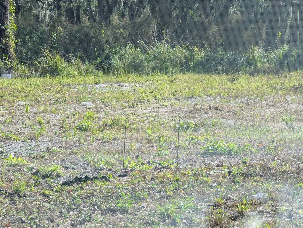 Photo of 0 Central Avenue, Mulberry, FL 33860 (MLS # O6409774)