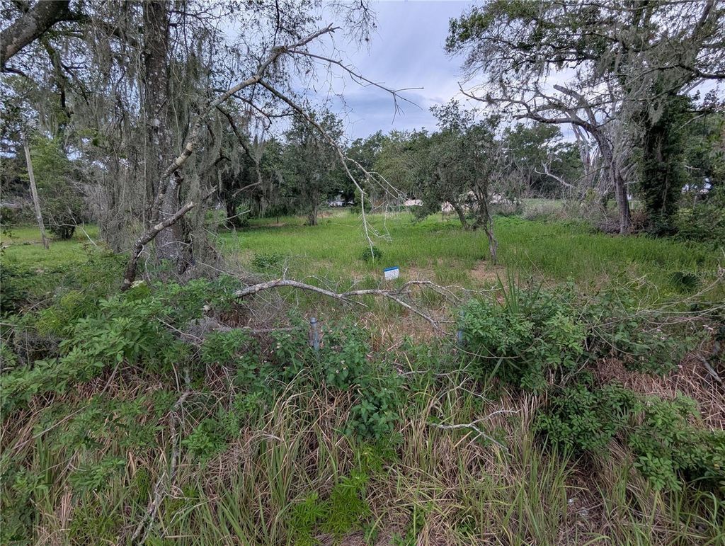 Photo of 0 Central Avenue, Mulberry, FL 33860 (MLS # O6409774)