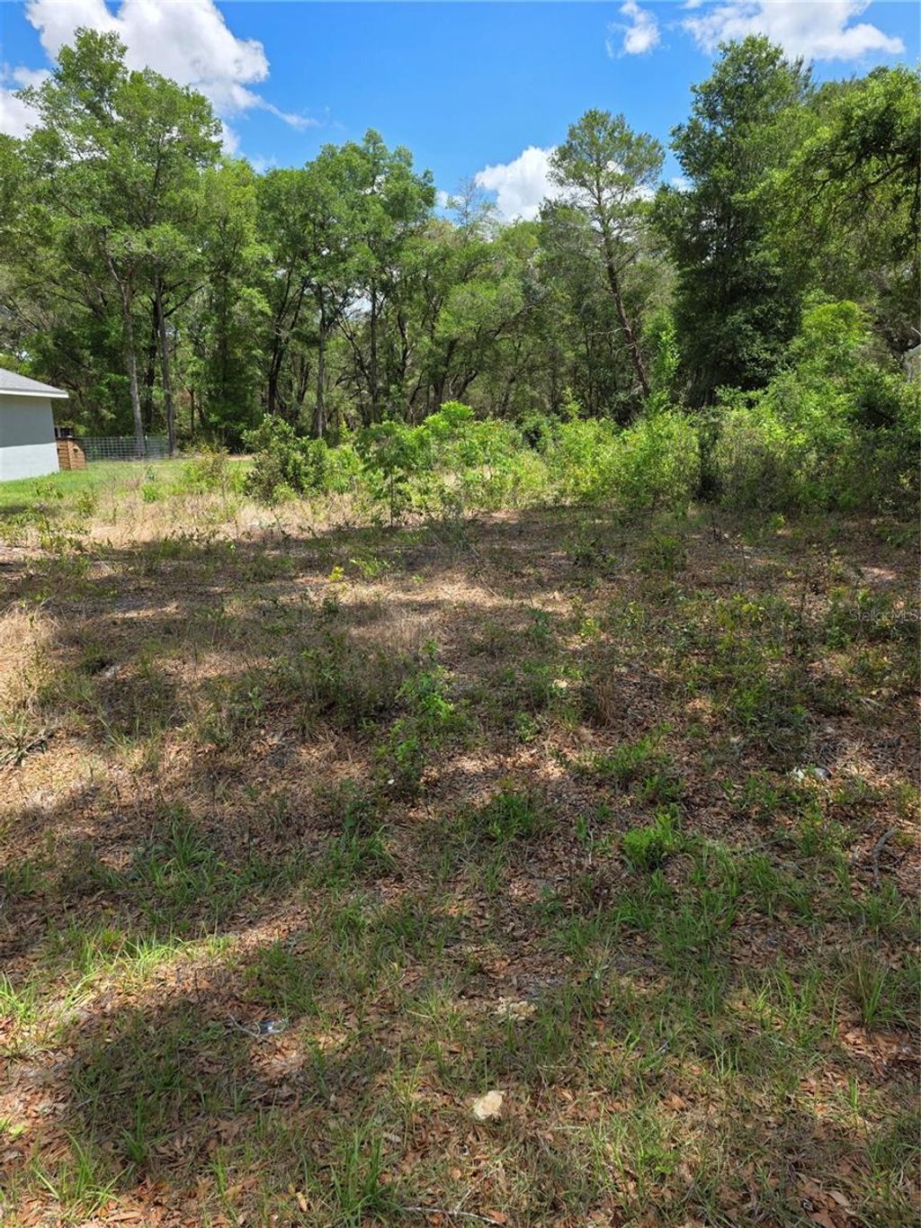 Photo of 10679 SW 110th Court, Dunnellon, FL 34432 (MLS # OM723426)