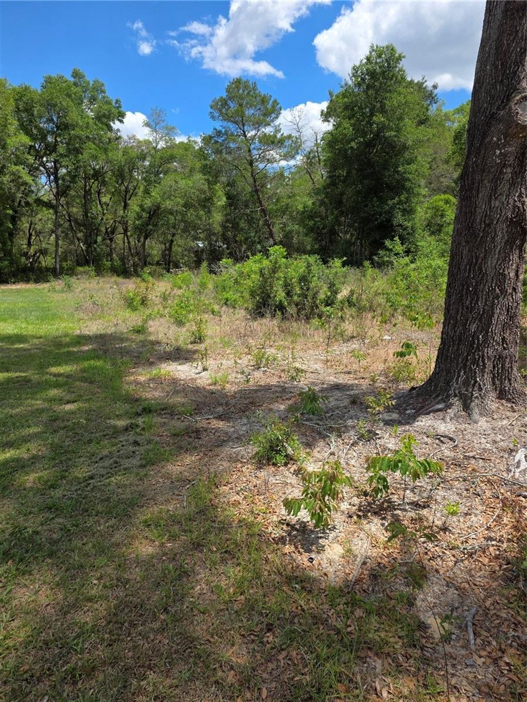 Photo of 10679 SW 110th Court, Dunnellon, FL 34432 (MLS # OM723426)