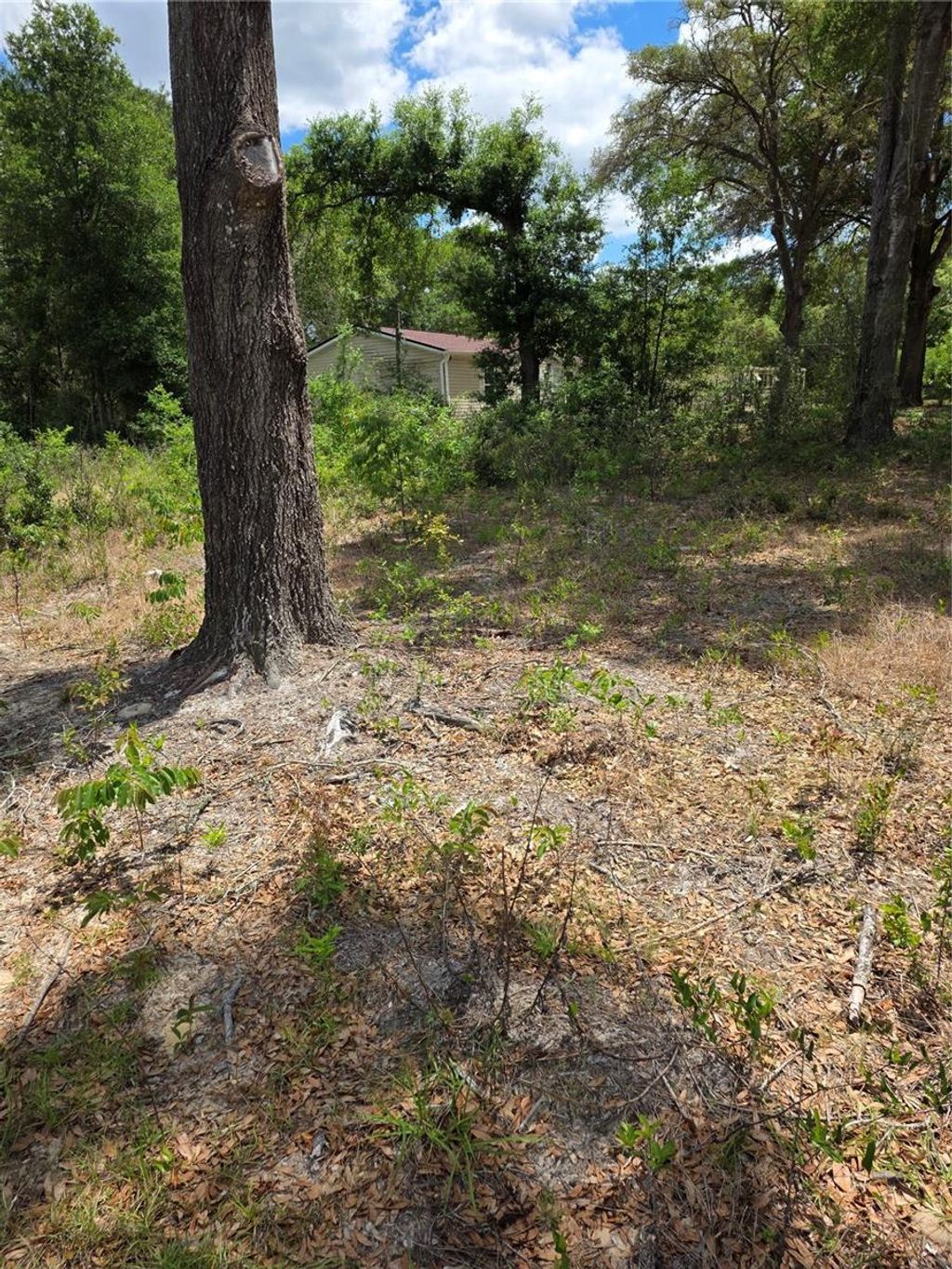 Photo of 10679 SW 110th Court, Dunnellon, FL 34432 (MLS # OM723426)