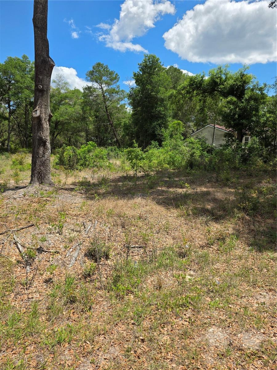 RAINBOW SPGS HEIGHTS - Land