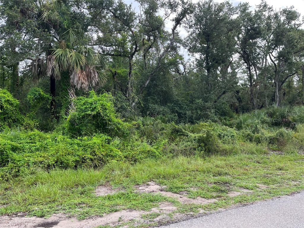 Photo of 17084 Johns Avenue, Port Charlotte, FL 33948 (MLS # C7514289)