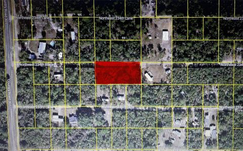 Photo of 15370 NE 234th Place, Fort Mccoy, FL 32134 (MLS # OM725170)