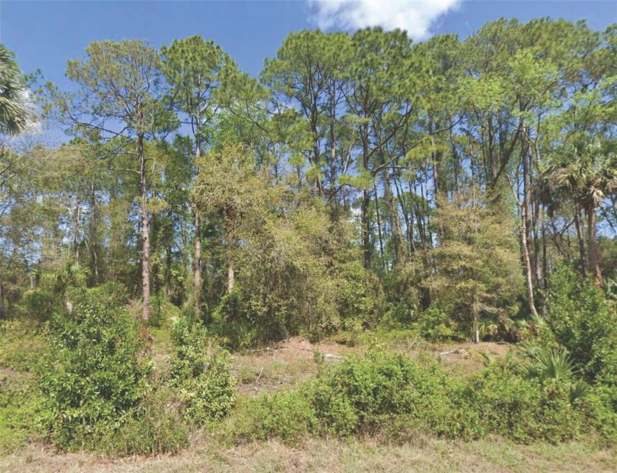 Vacant residential lot located in the Paradise Lakes subdivision of Georgetown, FL. This 0.23-acre parcel (approximately 10,019 sq ft) is  centrally located between Crescent City and Palatka, with convenient access to US-17 for commuting, shopping, and local amenities. Ideal opportunity for a future homesite or long-term investment in a quiet residential area.
All information is deemed reliable but should be independently verified.