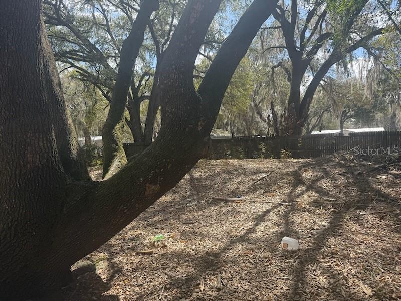 TANAMORA - Residential