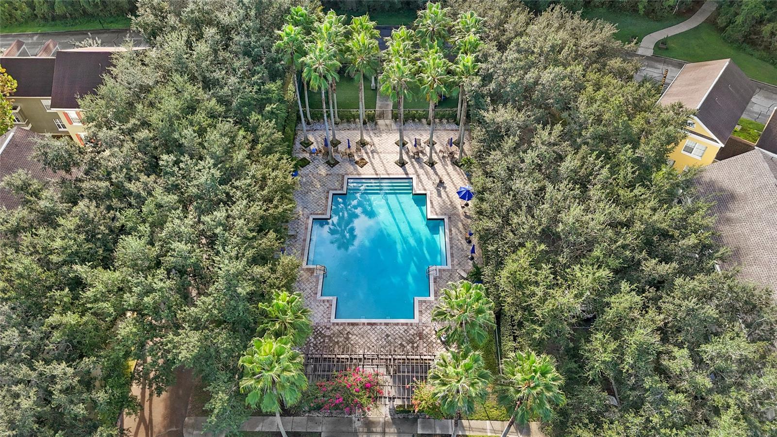 SIENA AT CELEBRATION CONDO B - Residential