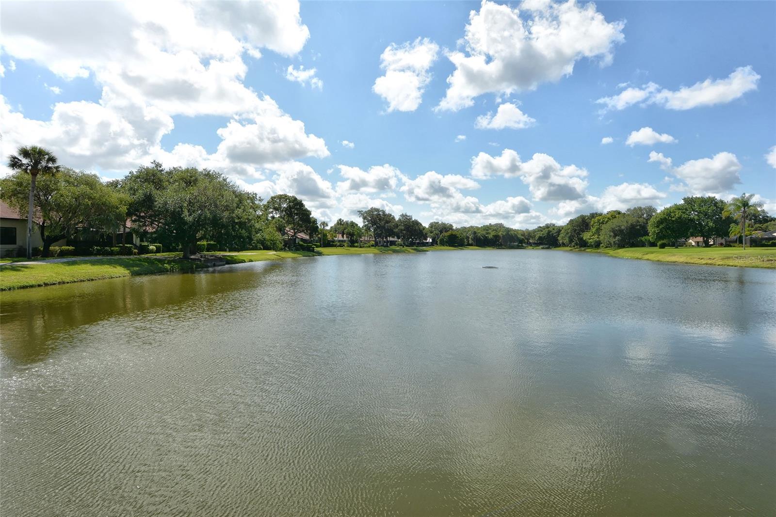 LAKES ESTATES THE - Residential