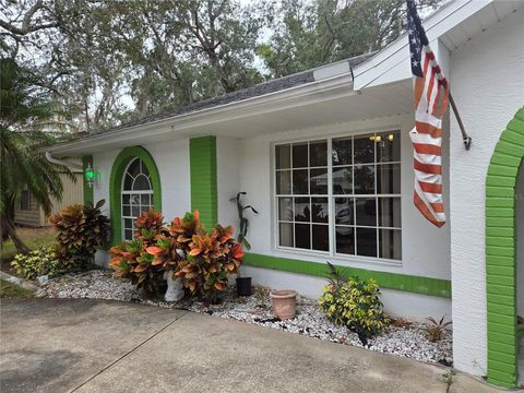 7605 LANDMARK DRIVE SPRING HILL FL 34606